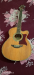 Monica Acoustic Guitar